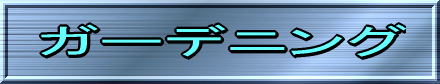 TvC[W